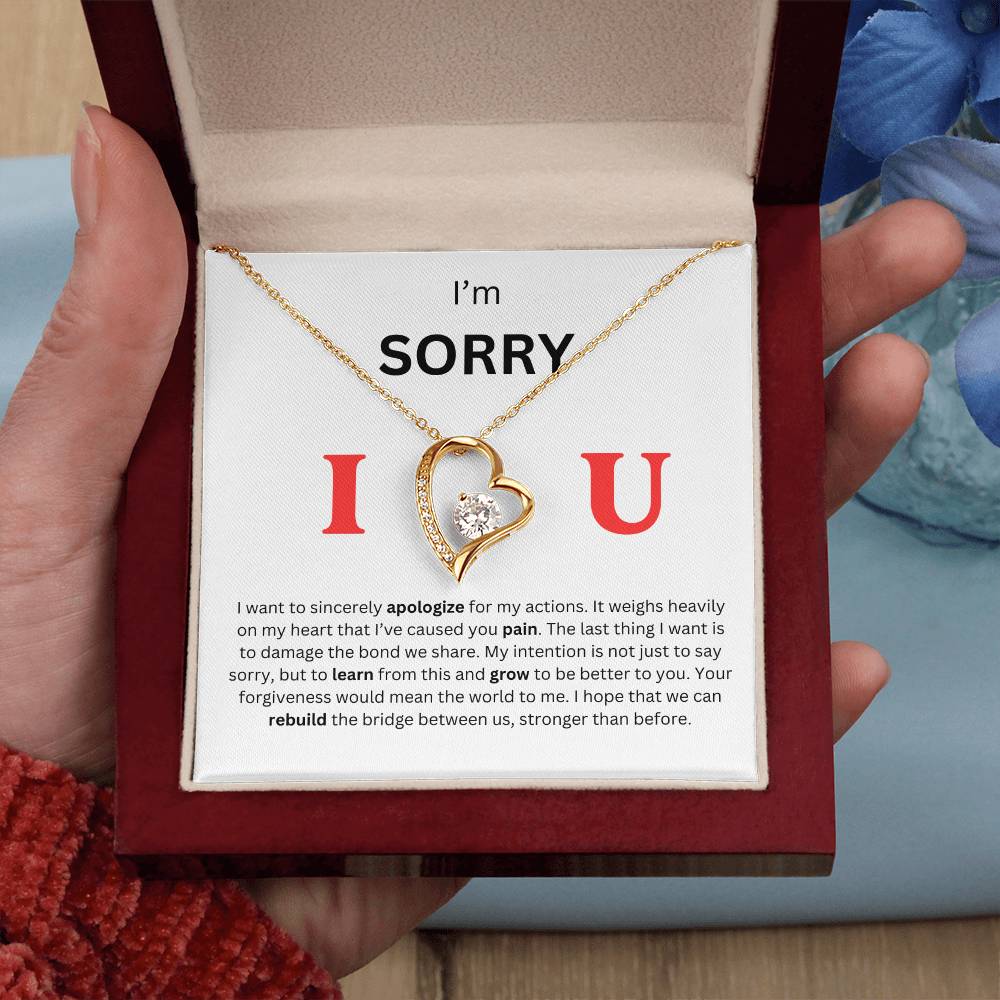 I'm Sorry Heart Necklace