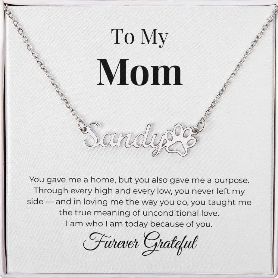 To My Mom Personalized Paw Necklace You Gave Me A Home