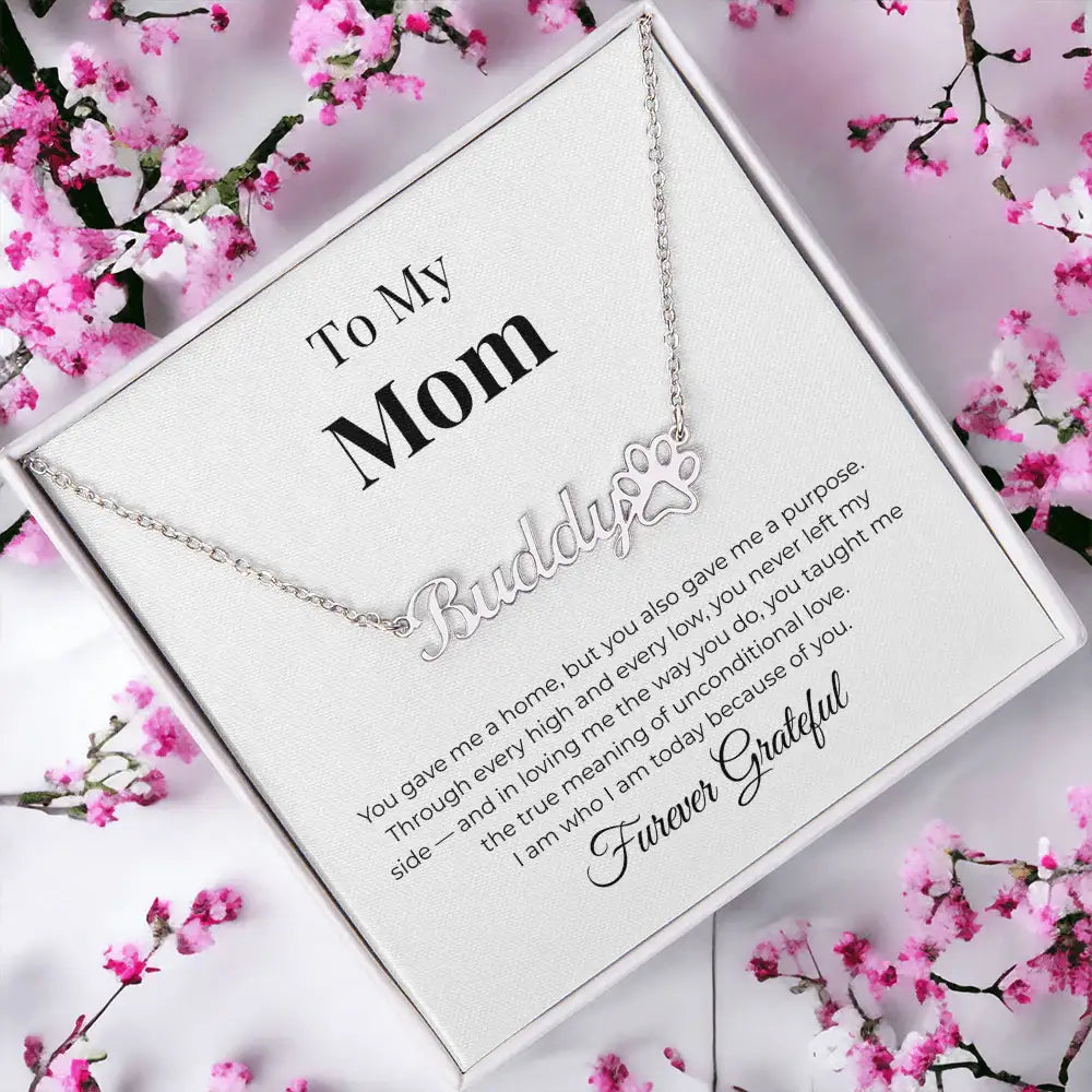 To My Mom Personalized Paw Necklace You Gave Me A Home