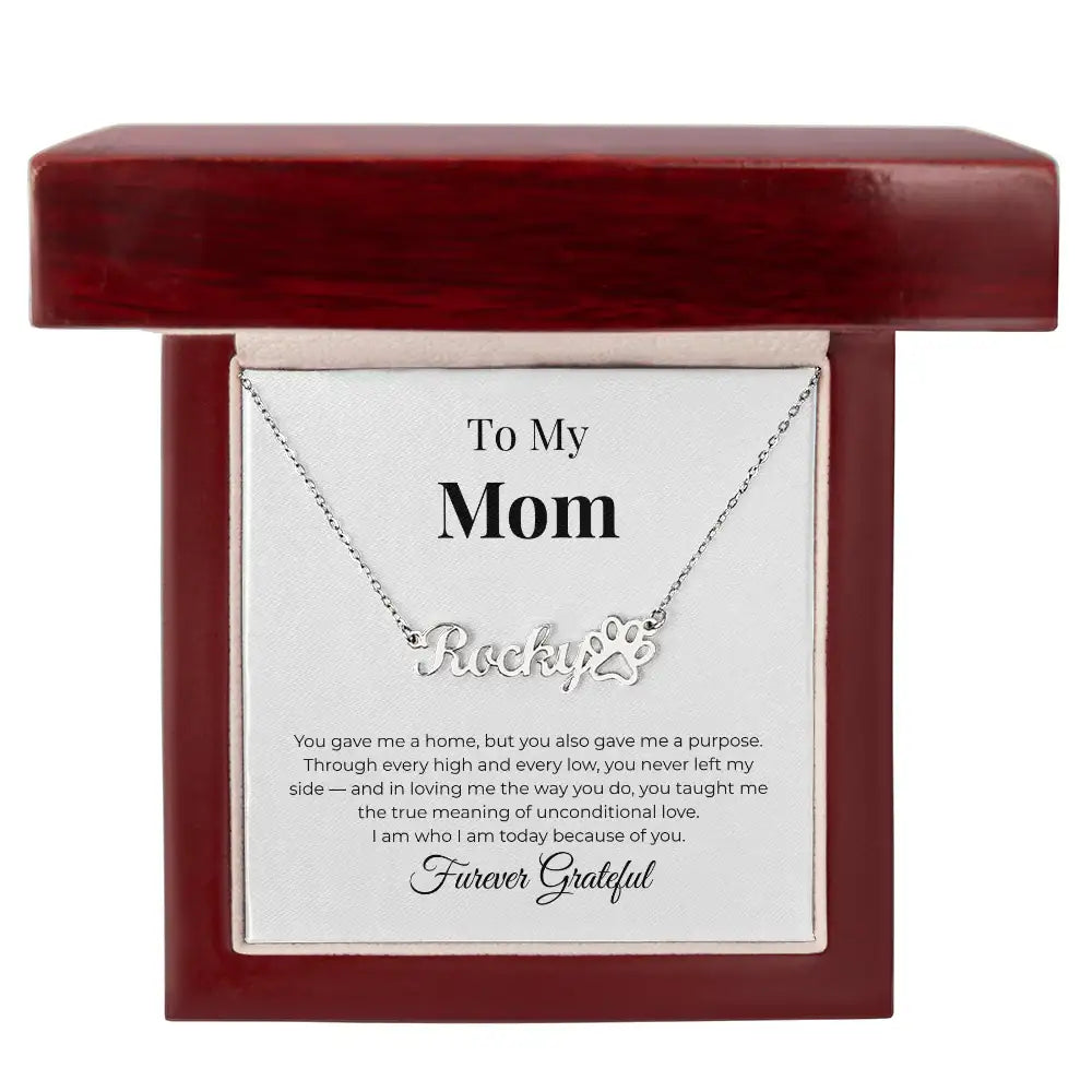 To My Mom Personalized Paw Necklace You Gave Me A Home