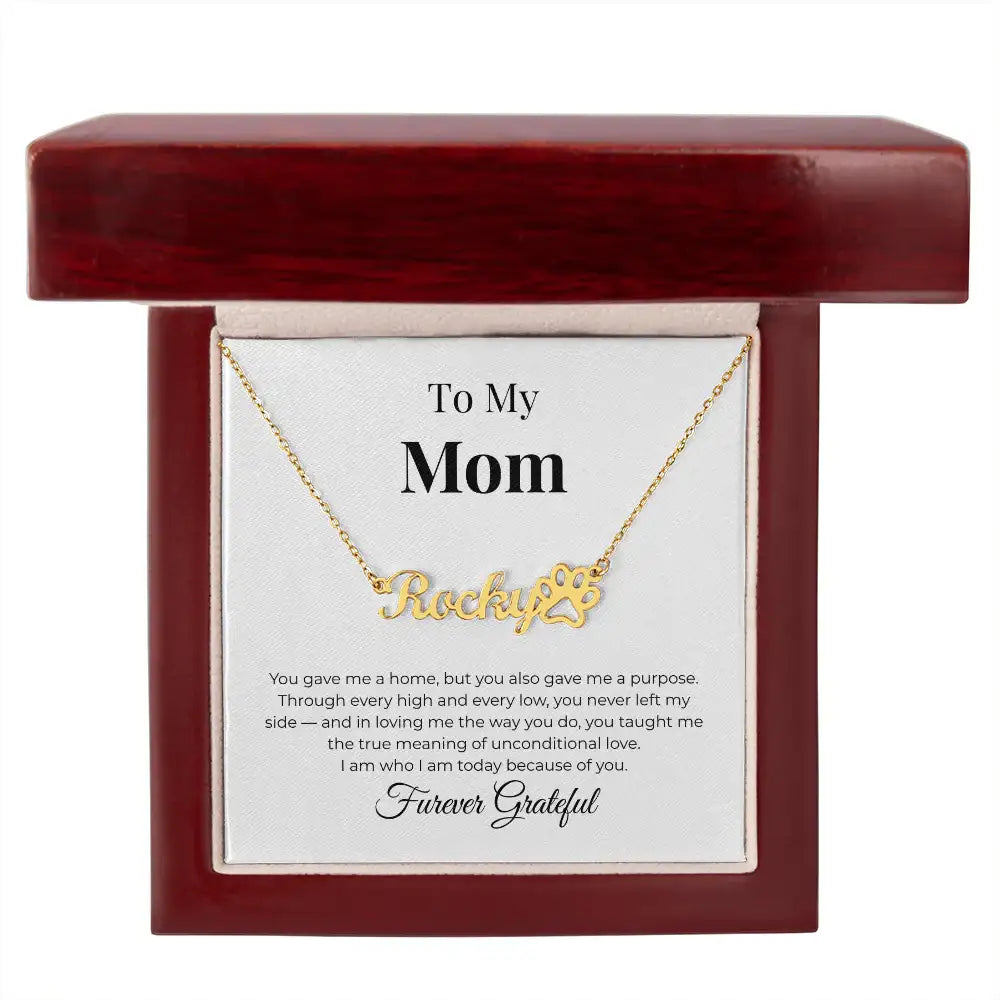 To My Mom Personalized Paw Necklace You Gave Me A Home