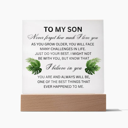 To My Son Acrylic Plaque