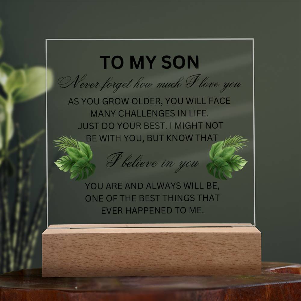 To My Son Acrylic Plaque