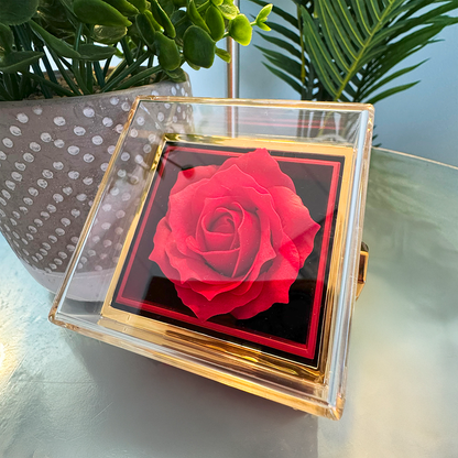Soulmate Your First- Love Knot in Rotating Rose Box