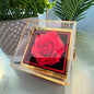 To My Love Necklace & Preserved Rose Gift Box — Hidden Drawer Rose Jewelry Case (FOREVER LOVE Pendant)